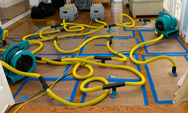 Professional Sewage Cleanup technician working in Norman, OK